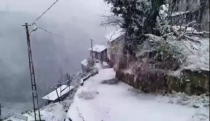 gülveren royal kombi servisi-0312-279-15-16