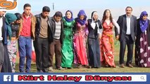 URFA VİRANŞEHİR RÎHA HALAYLARI 63 LİLER
