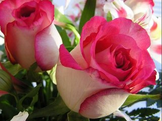 TARI ANKHON MAIN MUJY PIYAR