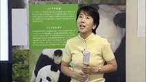 WWFジャパン法人セミナー　枝廣淳子氏　講演
