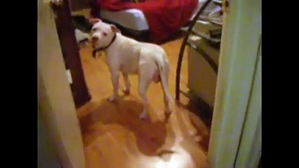 Bu Sesten Korkulur mu