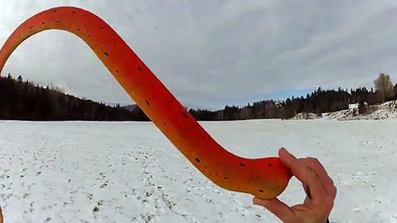 Le roi du Boomerang, petite démonstration !!