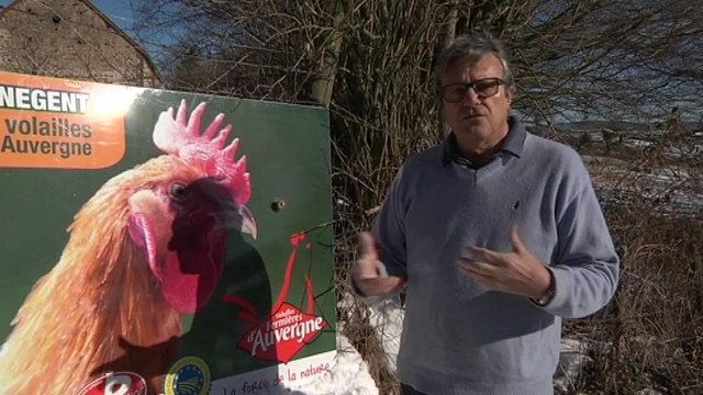 Le label Bien-être naturel : les volailles soignées avec des plantes