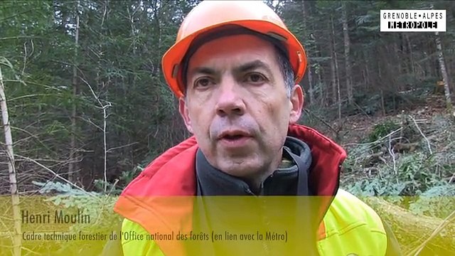 Environnement : le cable-mât pour entretenir les forêts de protection