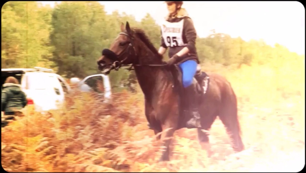 A l'orée du bois d'Hourclat