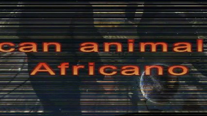 غضب أسد البحر على الصيادين بعد وقوعة فى شباكهم.mp4