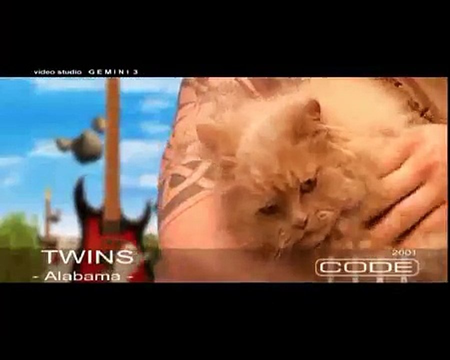 TWINS - ALABAMA