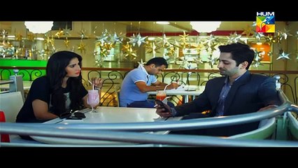 Aik Pal Episode 14 Full Drama on Hum Tv February 23, 2015