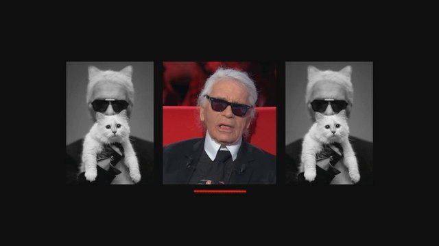 Si il m'arrive quelque chose, Choupette est mon héritière Karl Lagerfeld dans Le Divan