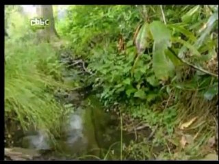 Raven - Series 2 Week 3 Day 1 - Eyeless Demons