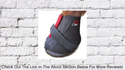 Cavallo Pastern Wrap for Horse Hoof Boot, Large Review