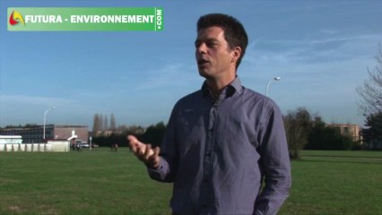 COP 21 : comment prévoir l'évolution du climat ?