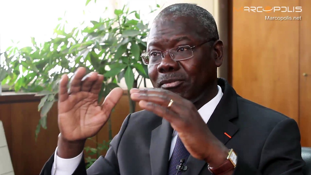 BNP Paribas Group: Strategy of BICICI in Côte d'Ivoire