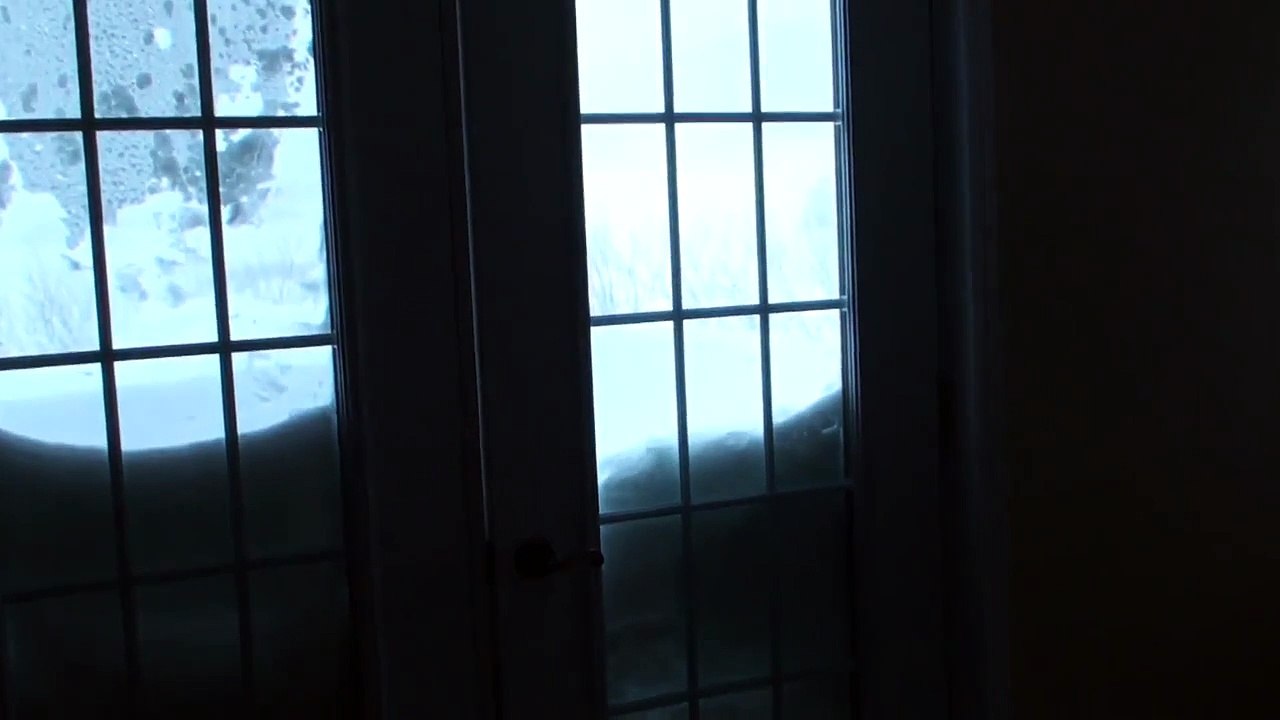 Un chat défonce un bloc de neige pour manger