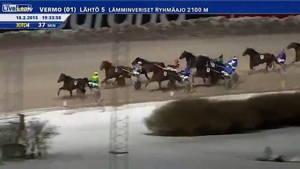 Un photographe percuté par un cheval