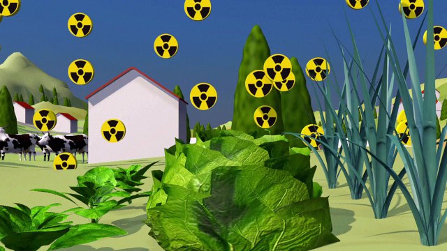 La contaminación radioactiva