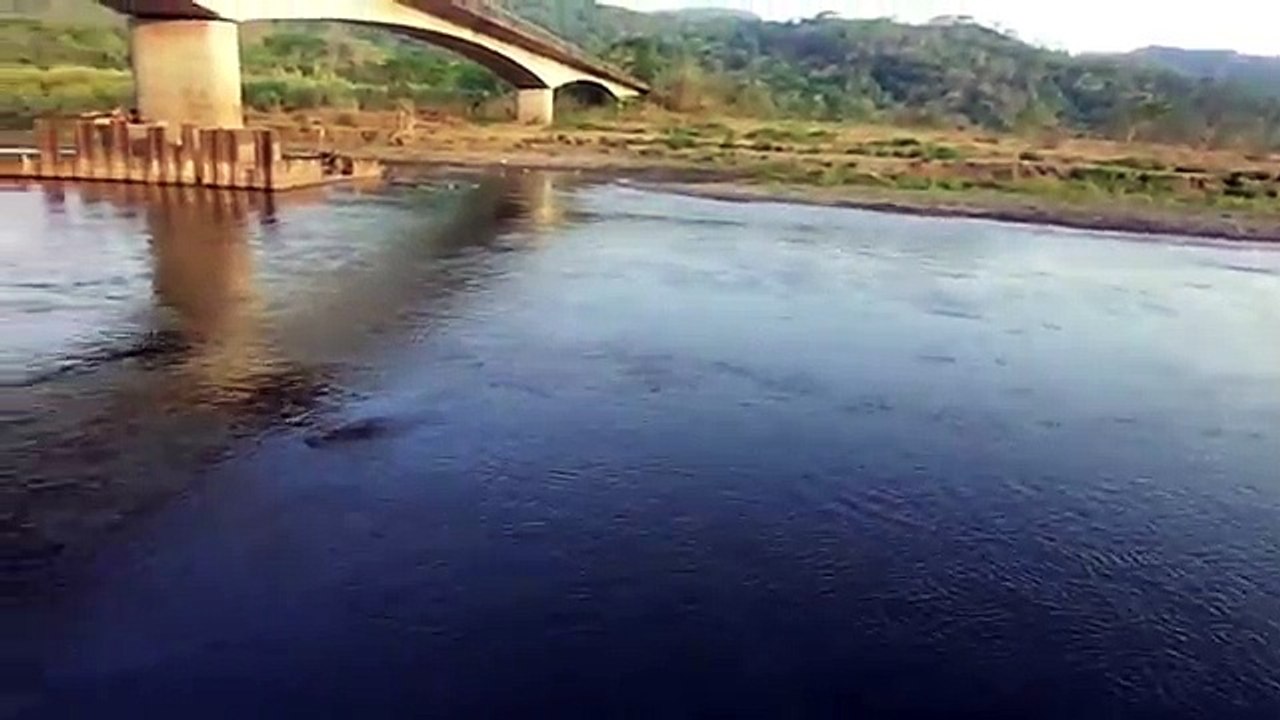 Fotógrafo escapa de ataque de crocodilo