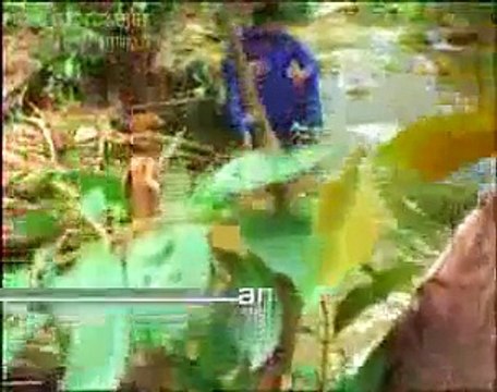 Sharafat Ali Khan Main Mahi Day Khooh To Pani Da Seraiki, Punjabi Cultural Folk Song