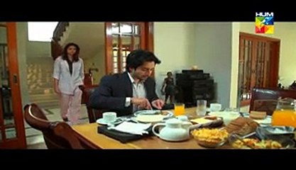 Aik Pal Episode 14 Part 2 HUM TV Drama 23 Feb 2015