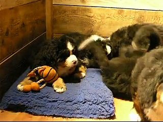 23 fév Normalement, c'est le repas !