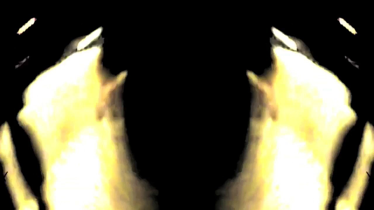 04101TrashRecPI - Wieder Da SPECIAL  /Full Film/Ganzer Film/Complete Movie