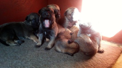 Be Aware H's @ Good Morning