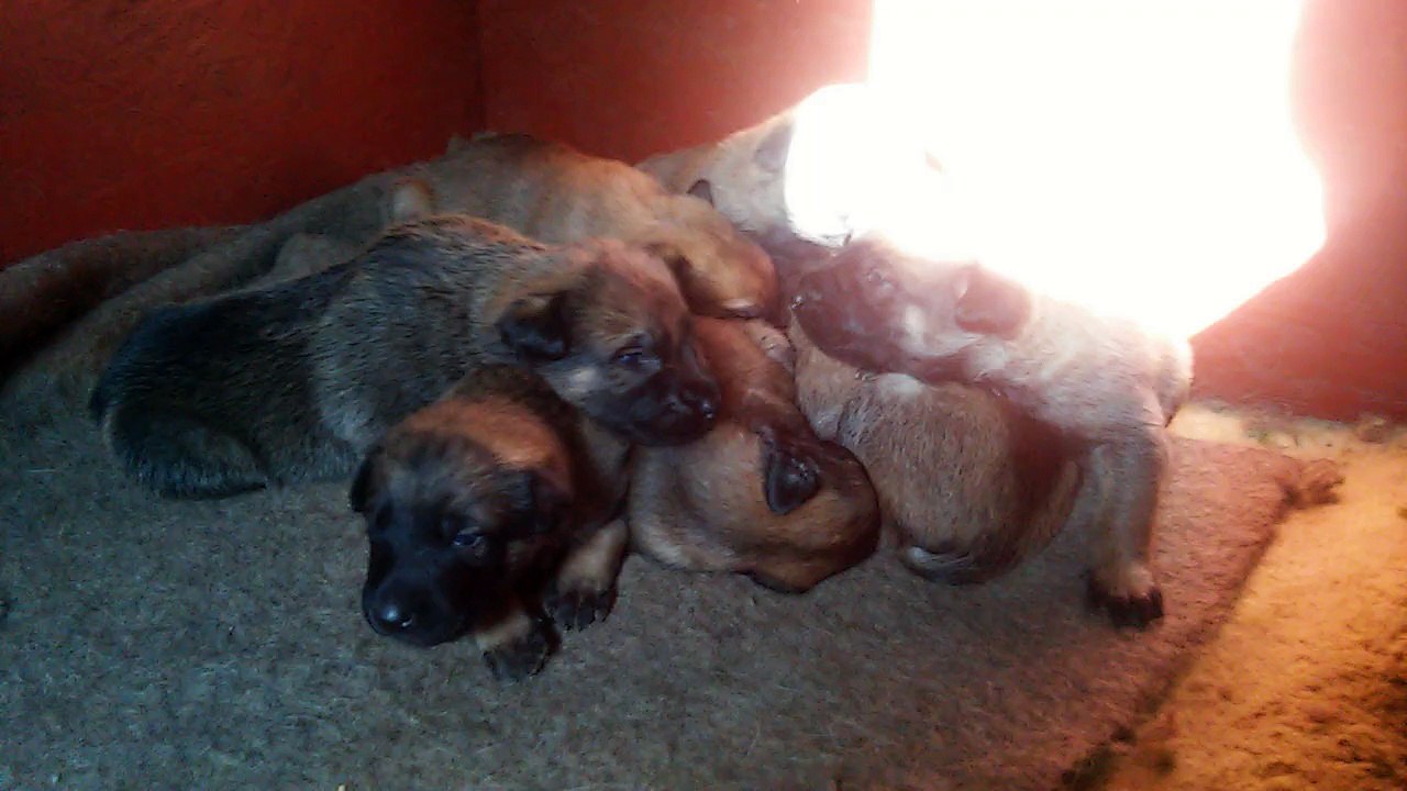 Be Aware H's @ Good Morning - Part 2