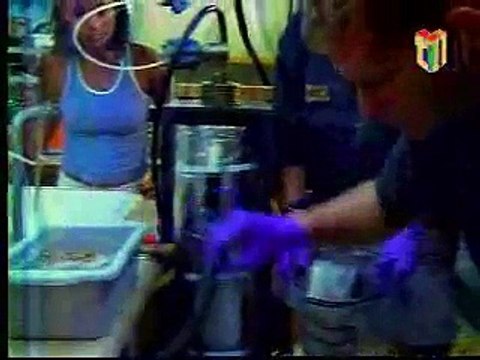 Exploraciòn Fondo del mar y El Sistema solar:- Probabilidades de vida en otros planetas 2/4