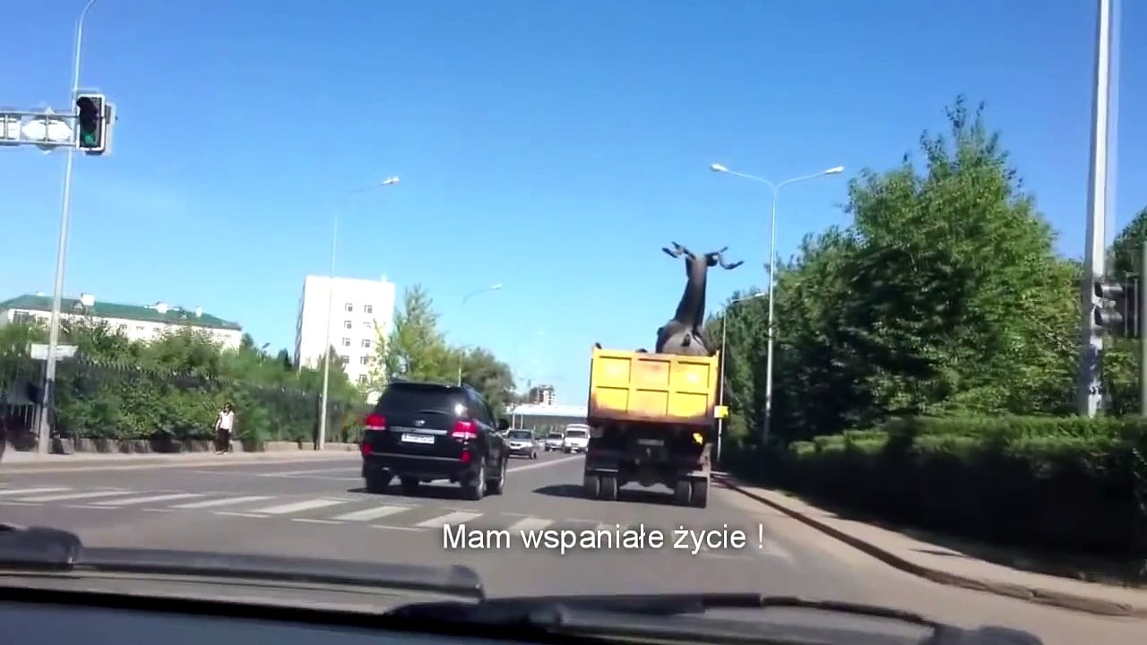 The Hangover - Kac Vegas III Trailer | Russian Version