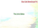 Blue Cats StereoScope Pro (64-bit) Free Download (blue cat audio stereoscope pro)