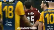 Verona 1 - 1 AS Roma All Goals and Highlights Serie A 22-2-2015