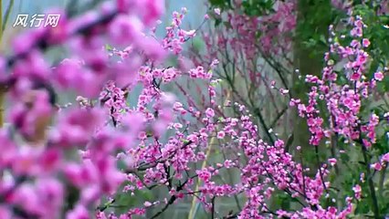 Chinese Drama,សំរែកនាគប្រាំបីទិស,Chinese Movie,Som Reik Neak 8 Tis ,Part 38