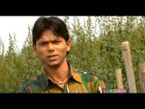 HD -मार होइ तोहरा भाई से  Maar Hoi Tohara Bhai Se- Full Album - Video Juke Box