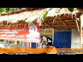 ABOT MIKULE adi kamsek @ lagu tarling