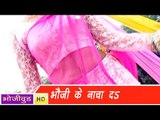 HD भौजी के नचा दा | Bhoji Ke Nacha Da | Raju Raj, Anil Yadav । Bhojpuri Hot & Sexy Song