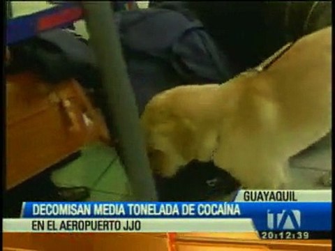 Decomisan media tonelada de droga en Guayaquil