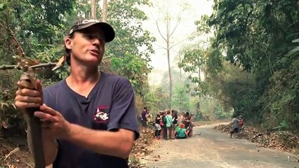 Rising Fires in Southeast Asia: What You Need to Know 🔥