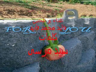 باعونى بأرخص ثمن  -  فايد محمد فايد