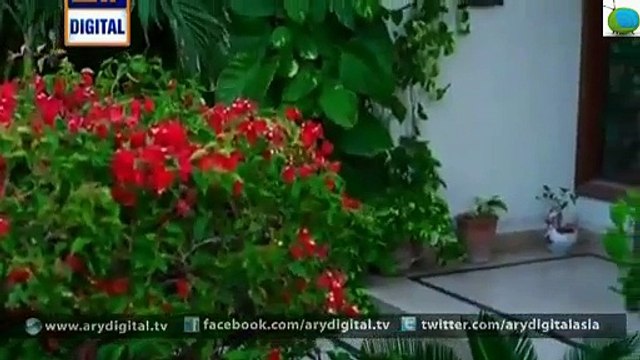 Rasgullay Episode 83 - 22nd November 2014