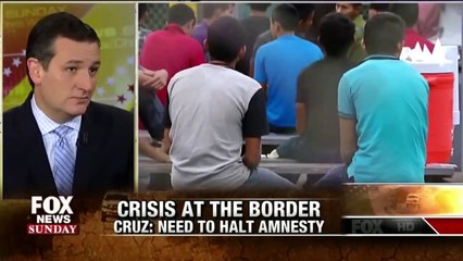 Stop President Obama's Amnesty