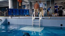 Dolphin Tale 2 Official Trailer 2 (2014) - Morgan Freeman, Harry Connick Jr. Dolphin Movie HD new action movies HD | english movi | action movie | romantic movie | horror movie | adventure movie | Canadian movie | usa movie | world movie | seris movies |