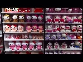 CATS 101 - Japanese Bobtail [ENG]