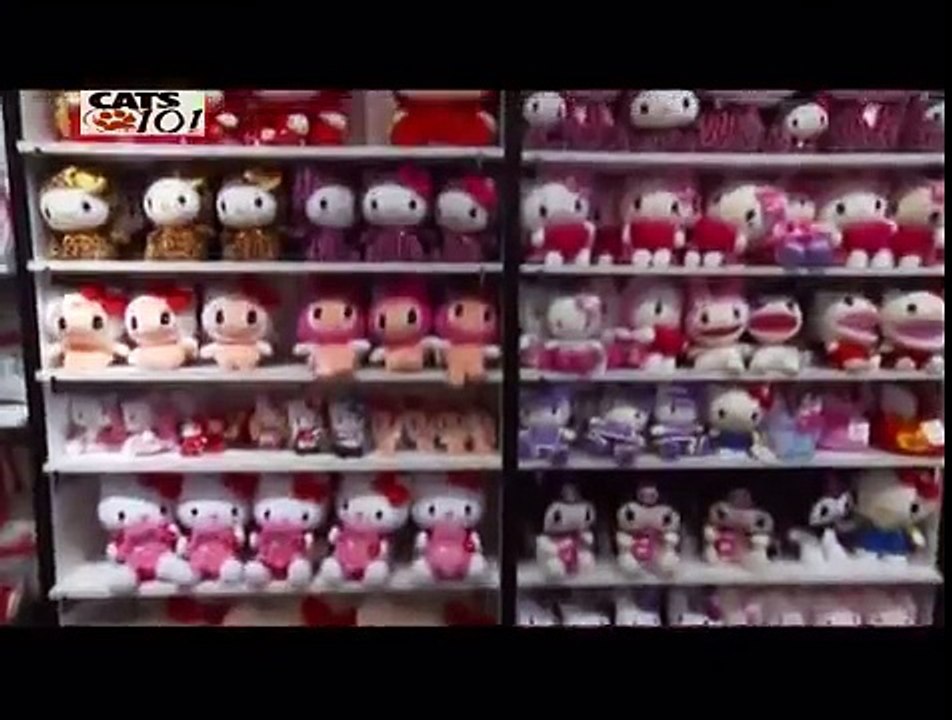 CATS 101 - Japanese Bobtail [ENG]