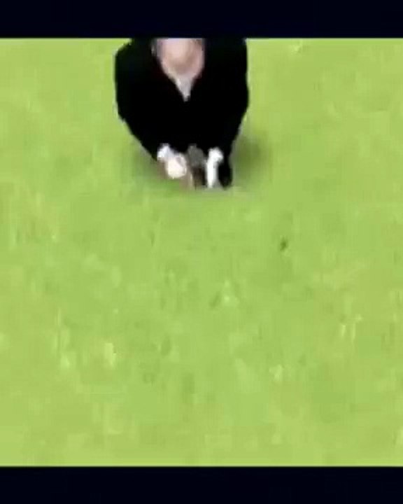 SVB Mobile High Res.mov