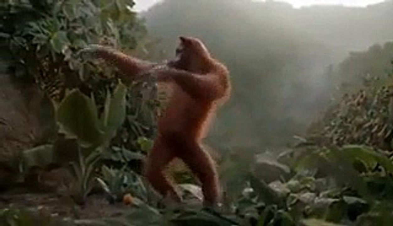 yo yo honey singh 2015 new style verry funny vedio song 2015 - Video Dailymotion