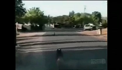 Oyunculukta Master Yapmış Ördek