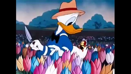 Cartoons for Children - Donald Duck Cartoon Ep Bee On Guard