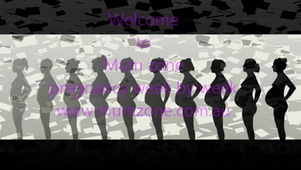 pregnancy week by week | Mum zone