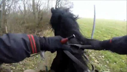 Klintz Just Dream outside