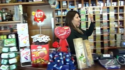 LADRI SCATENATI: SETTE FURTI IN DUE ANNI